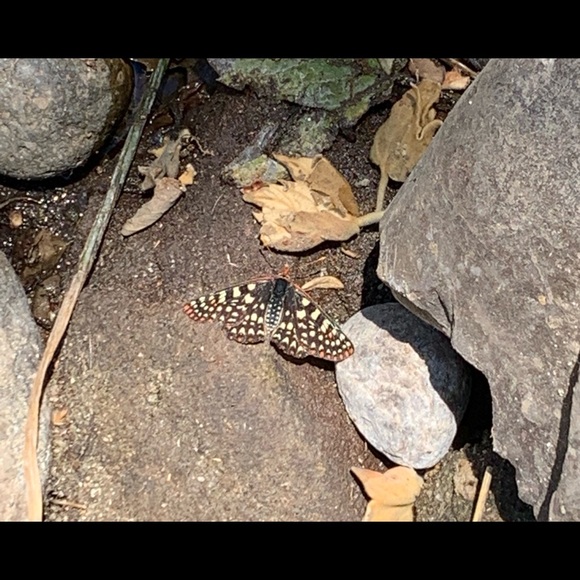 Information - Picture 2 of 2